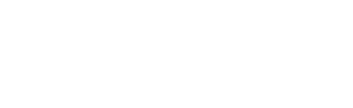 flowforce max logo